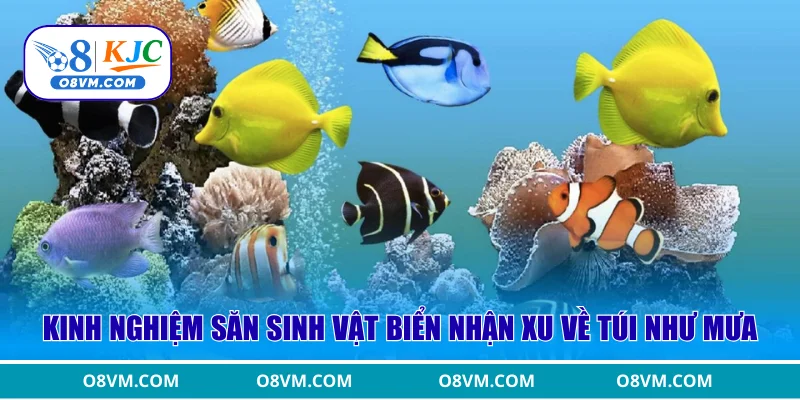 Kinh nghiệm săn sinh vật biển nhận xu về túi như mưa