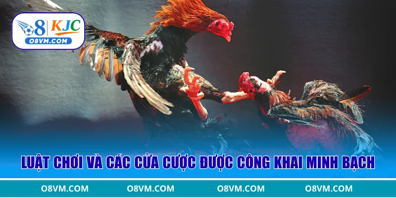 Luật chơi và các cửa cược được công khai minh bạch